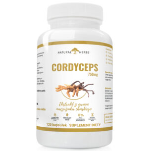 CORDYCEPS 750mg ODPORNOŚĆ MACZUŻNIK PRODUKT WEGE 120 kapsułek