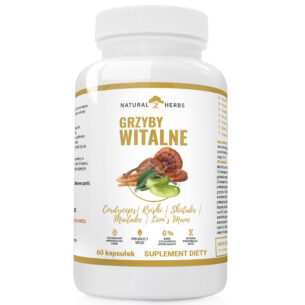 GRZYBY WITALNE Cordyceps Reishi Shiitake Maitake Lion’s Mane PRODUKT WEGE 60 kapsułek