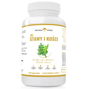 NA STAWY I KOŚCI KADZIDŁOWIEC GLUKOZAMINA 120 kapsułek