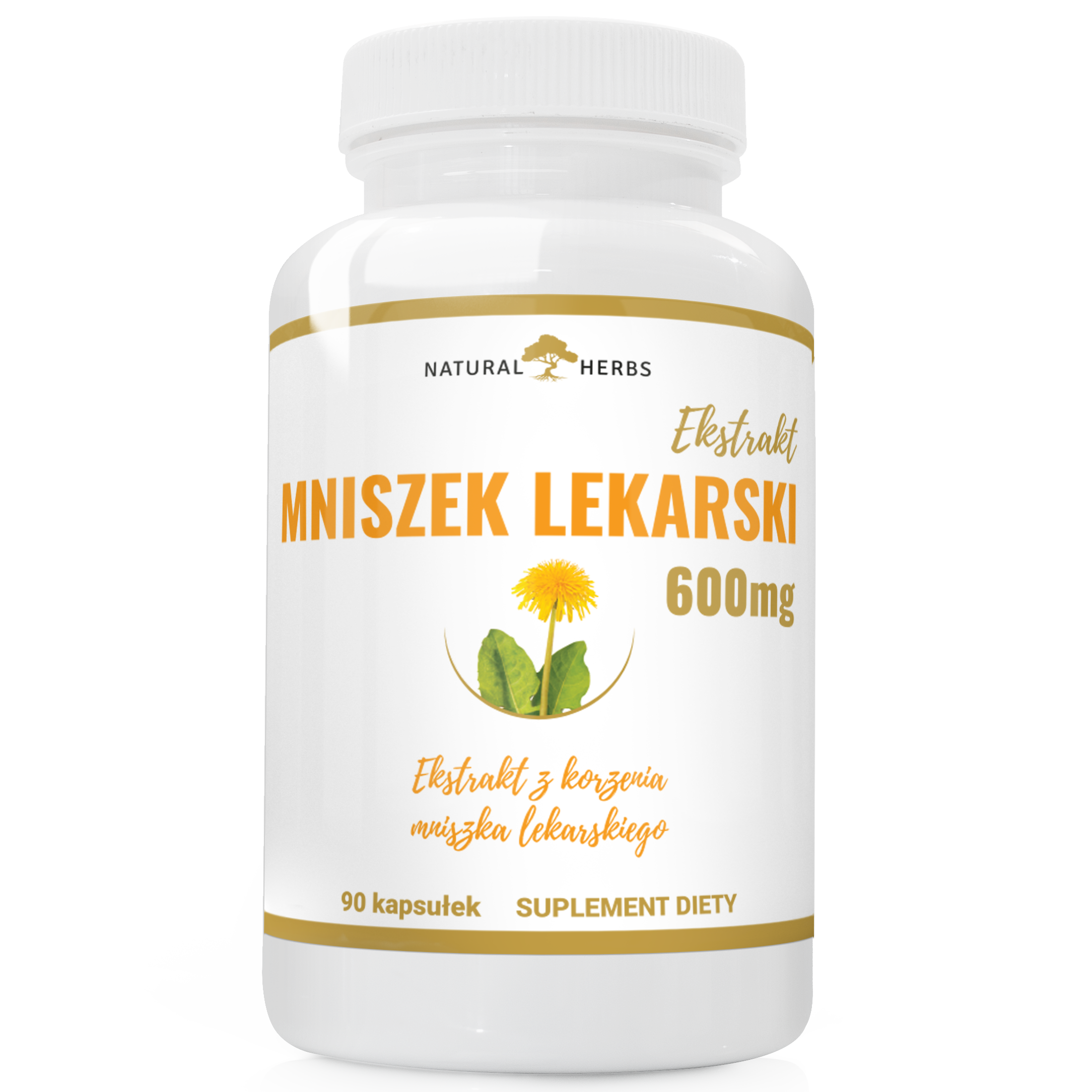 NATURALNA Szałwia Lekarska Ekstrakt 700mg SPOKÓJ STRES RÓWNOWAGA TRAWIENIE 90 kapsułek